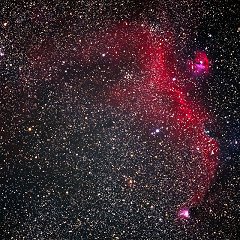 わし星雲（IC2177）