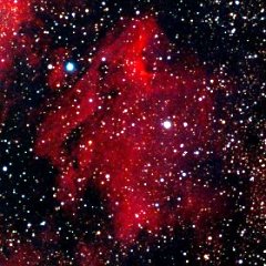 ペリカン星雲（IC5067-70）