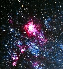 毒ぐも星雲（NGC2070）