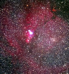 コーン星雲（NGC2264）